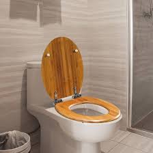 Ist ein Toilettensitz aus Holz besser?